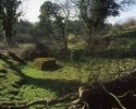 Mass rock at Rathfeigh Church